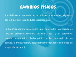 Cambios Físicos
Son debidos a una serie de secreciones hormonales originadas
por la hipófisis y las glándulas suprarrenales.

La hipófisis realiza secreciones que desarrollan los caracteres
sexuales primarios (ovarios, testículos, etc.) y los caracteres
sexuales secundarios

(vello púbico, axilar, desarrollo de los

pechos, la menstruación, agrandamiento del pene, comienzo de
la eyaculación, etc.)

 