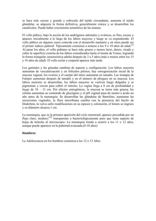 ETAPAS DE LA VIDA HUMANA