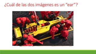 ¿Cuál de las dos imágenes es un “ear”?
 