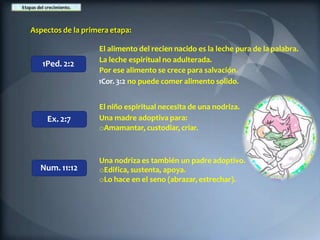 Aspectos de la primera etapa:
1Ped. 2:2
Num. 11:12
El alimento del recien nacido es la leche pura de la palabra.
La leche espiritual no adulterada.
Por ese alimento se crece para salvación.
1Cor. 3:2 no puede comer alimento solido.
Ex. 2:7
El niño espiritual necesita de una nodriza.
Una madre adoptiva para:
oAmamantar, custodiar, criar.
Una nodriza es también un padre adoptivo.
oEdifica, sustenta, apoya.
oLo hace en el seno (abrazar, estrechar).
 