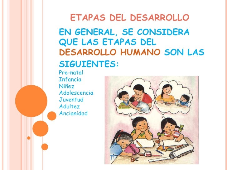 Etapas Del Desarrollo