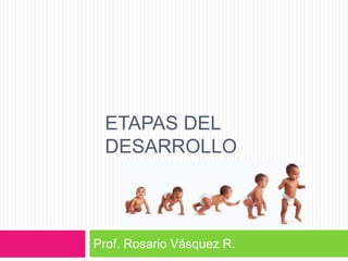 Prof. Rosario Vásquez R.
ETAPAS DEL
DESARROLLO