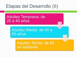 Etapas del Desarrollo (II)
Adultez Temprana: de
20 a 40 años
Adultez Media: de 40 a
65 años
Adultez Tardía: de 65
en adelante