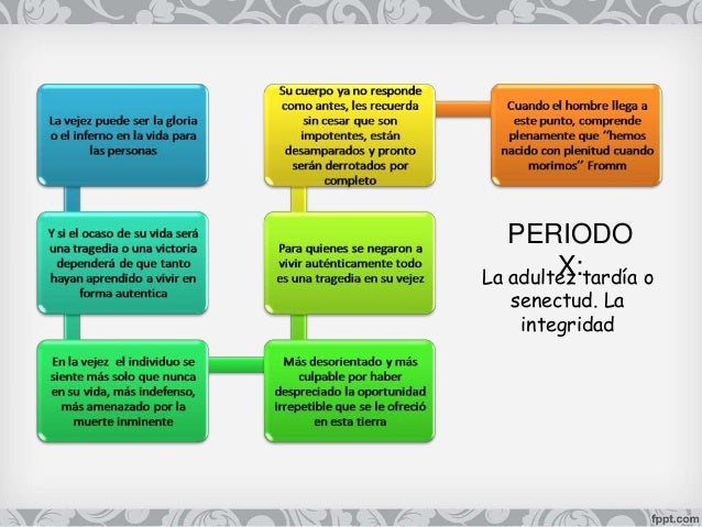 Etapas del desarrollo de la personalidad
