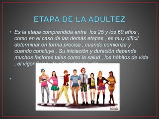 • Es la etapa comprendida entre los 25 y los 60 años ,
como en el caso de las demás etapas , es muy difícil
determinar en forma precisa , cuando comienza y
cuando concluye . Su iniciación y duración depende
muchos factores tales como la salud , los hábitos de vida
, el vigor físico , la alimentación, etc..
•
 
