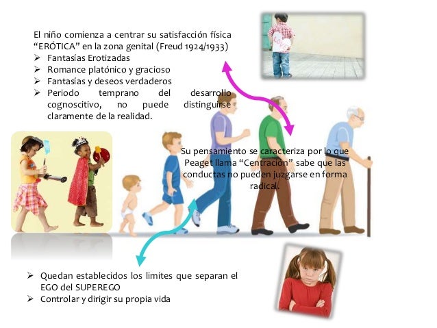 Etapas del desarrollo