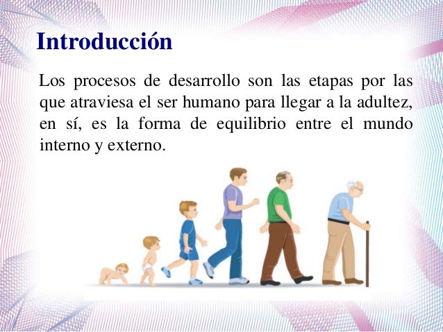 Etapas del desarrollo ciclo vital