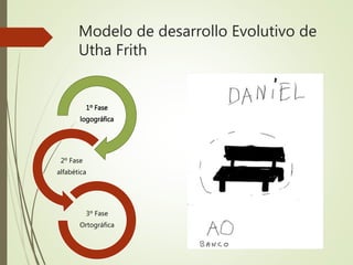 Modelo de desarrollo Evolutivo de
Utha Frith
1º Fase
logográfica
2º Fase
alfabética
3º Fase
Ortográfica
 