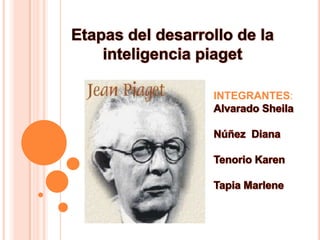 Etapas del desarrollo de la inteligencia piaget  INTEGRANTES: Alvarado Sheila Núñez  Diana Tenorio Karen Tapia Marlene  