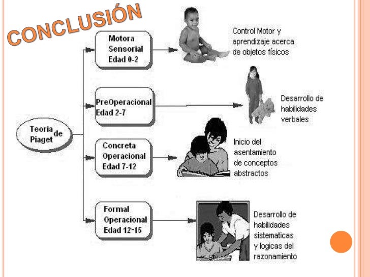 Etapas del desarrollo de la inteligencia