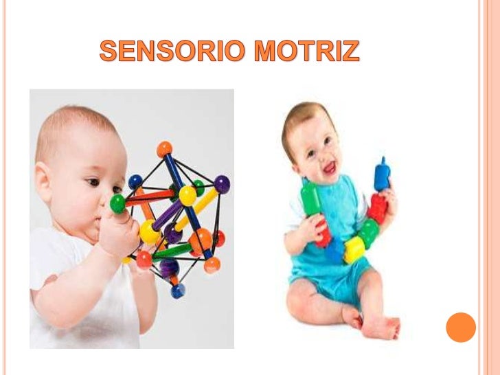 Etapas del desarrollo de la inteligencia