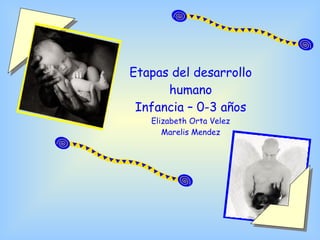 Etapas del desarrollo humano Infancia – 0-3 años Elizabeth Orta Velez Marelis Mendez 