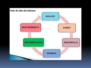 Etapas del desarrollo del sistema