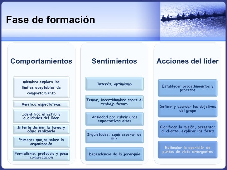 Etapas del desarrollo de un grupo