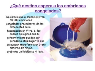 ¿Qué destino espera a los embriones
              congelados?
Se calcula que al menos existen
   40.000 embriones
congelados procedentes de los
   excedentes de la
 fecundación en Vitro. Si los
   padres biológicos dan su
 consentimiento pueden ser
   donados a otra mujer ya que
 se pueden transferir a un útero
   materno sin ningún
 problema , ni biológico ni legal.
 