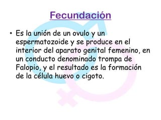 Fecundación
• Es la unión de un ovulo y un
  espermatozoide y se produce en el
  interior del aparato genital femenino, en
  un conducto denominado trompa de
  Falopio, y el resultado es la formación
  de la célula huevo o cigoto.
 