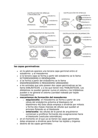 Etapas del desarrollo embrionario | DOCX