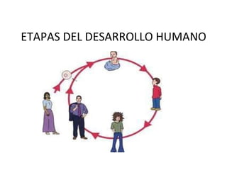 ETAPAS DEL DESARROLLO HUMANO 