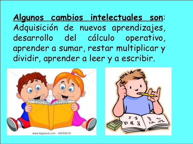 Etapas del desarrollo humano