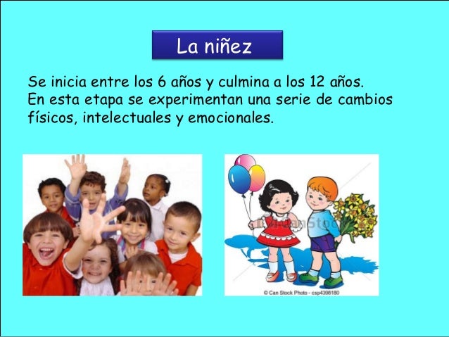 Etapas del desarrollo humano