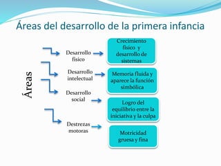 Áreas del desarrollo de la primera infancia
Desarrollo
físico
Crecimiento
físico y
desarrollo de
sistemas
Desarrollo
intelectual
Memoria fluida y
aparece la función
simbólica
Desarrollo
social
Logro del
equilibrio entre la
iniciativa y la culpa
Destrezas
motoras Motricidad
gruesa y fina
Áreas
 