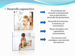 Desarrollo cognoscitivo
El crecimiento del
recuerdo es fundamental
para su descripción y
desarrollo del pensamiento
Desarrollo de la atención,
la memoria y el
conocimiento
Mayor velocidad y mas
capacidad de
procesamiento
Una memoria más
estratégica y una atención
mas selectiva
 