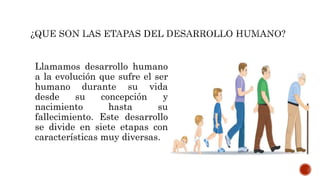 Llamamos desarrollo humano
a la evolución que sufre el ser
humano durante su vida
desde su concepción y
nacimiento hasta su
fallecimiento. Este desarrollo
se divide en siete etapas con
características muy diversas.
 