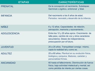 ETAPAS CARÁCTERÍSTICAS
PRENATAL De la concepción al nacimiento. Subetapas:
Germinal o zigótico, embrional y fetal.
INFANCIA Del nacimiento a los 6 años de edad.
Periodos: neonatal y desarrollo de la infancia.
NIÑEZ 6 y 12 años. Capacidades: de relación,
percepción, memoria y razonamiento.
ADOLESCENCIA Entre los 12 y 20 años aprox. Crecimiento de
talla peso, cambio de voz y otros caracteres
secundarios. Deseo de independencia,
preocupación por el futuro.
JUVENTUD 20 a 25 años. Tranquilidad consigo mismo,
capta la realidad tal y como es.
ADULTEZ 25 a 60 años. Plenitud en su evolución física,
biológica y psíquica. Madurez, carácter y
personalidad firmes.
ANCIANIDAD 60 hasta el fallecimiento. Disminución de fuerza
física, baja actividad intelectual y mental; así
como pérdida de interés por ciertas cosas.
 
