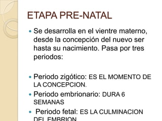 ETAPA PRE-NATAL
   Se desarrolla en el vientre materno,
    desde la concepción del nuevo ser
    hasta su nacimiento. Pasa por tres
    periodos:

   Periodo zigótico: ES EL MOMENTO DE
    LA CONCEPCION.
   Periodo embrionario: DURA 6
    SEMANAS
   Periodo fetal: ES LA CULMINACION
 