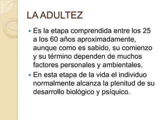 LA ADULTEZ
 Es la etapa comprendida entre los 25
  a los 60 años aproximadamente,
  aunque como es sabido, su comienzo
  y su término dependen de muchos
  factores personales y ambientales.
 En esta etapa de la vida el individuo
  normalmente alcanza la plenitud de su
  desarrollo biológico y psíquico.
 