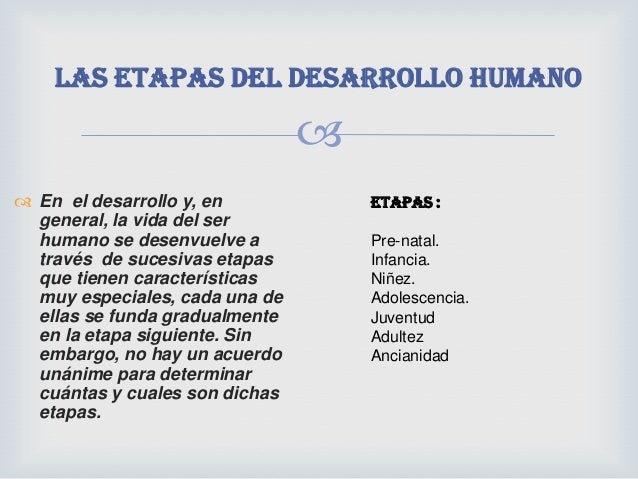 Etapas del desarrollo humano linda Etapas del desarrollo humano linda