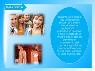 ETAPA GENITAL
Durante esta etapa
hay un despertar
sexual. Esta etapa
Freud la llama
“pubertad”. La
pubertad se presenta
como un salto de la
niñez a otra etapa de
cambios en
crecimiento del
cuerpo, rasgos físicos
muy conocidos como
la voz en los varones,
el vello púbico, etc.
 