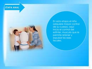 ETAPA ANAL
En esta etapa el niño
adquiere mayor control
de su cuerpo, aquí
inicia el control del
esfínter, musculo que le
permite retener y
expulsar las eses
fecales.
 