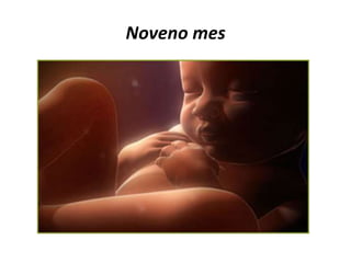 Noveno mes
 