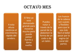 OCTAVO MES
                                             Los huesos
               El feto ya
                                            de la cabeza
                   está
                                Puedes       son suaves
              demasiado
   A esta                       notar a       y flexibles
              grande para
   altura                    través de la    para que le
                moverse
continúa el                 pared de tu        sea más
              mucho pero
crecimiento                 abdomen la      fácil al bebé
                 puede
 rápido del                 forma de un     pasar por la
                 patear
  cerebro.                    codo o de       vagina (el
                fuerte y
                               un talón.      canal del
                  darse
                                                parto).
                 vuelta.
 
