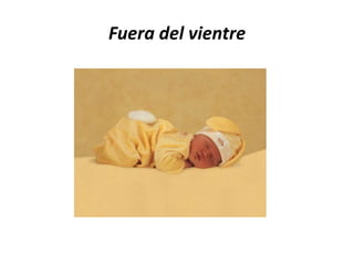 Fuera del vientre
 