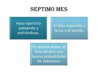 SEPTIMO MES

Hace ejercicio
                    El feto responde a
 pateando y
                    la luz y al sonido.
 estirándose.


        Si naciera ahora, el
         feto tendría una
        buena probabilidad
           de sobrevivir.
 