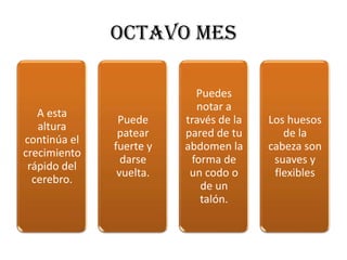 OCTAVO MES

                           Puedes
                           notar a
   A esta
               Puede     través de la   Los huesos
   altura
               patear    pared de tu       de la
continúa el
              fuerte y   abdomen la     cabeza son
crecimiento
                darse     forma de       suaves y
 rápido del
               vuelta.    un codo o      flexibles
  cerebro.
                            de un
                            talón.
 