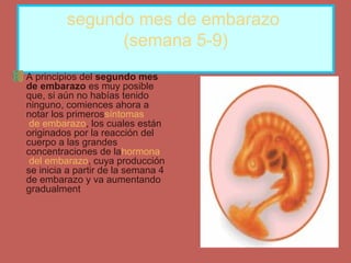 segundo mes de embarazo
(semana 5-9)
A principios del segundo mes
de embarazo es muy posible
que, si aún no habías tenido
ninguno, comiences ahora a
notar los primerossíntomas
de embarazo, los cuales están
originados por la reacción del
cuerpo a las grandes
concentraciones de lahormona
del embarazo, cuya producción
se inicia a partir de la semana 4
de embarazo y va aumentando
gradualment
 