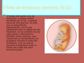 5°Mes de embarazo (semana 18-22)
A finales del quinto mes de
embarazo, tu bebé medirá
alrededor de 33 cm. y pesará
cerca de 500 gramos. Su piel,
que va adquiriendo
pigmentación, por lo que
paulatinamente va dejado de ser
traslúcido, se ha cubierto de una
capa grasa y blanquecina,
llamada vernix caseosa, que
mantendrá su temperatura y le
protegerá durante el resto del
embarazo, a la vez que le
ayudará a deslizarse mejor a
través del cuello del útero
durante el parto.
 
