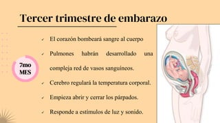 Tercer trimestre de embarazo
7mo
MES
 El corazón bombeará sangre al cuerpo
 Pulmones habrán desarrollado una
compleja red de vasos sanguíneos.
 Cerebro regulará la temperatura corporal.
 Empieza abrir y cerrar los párpados.
 Responde a estímulos de luz y sonido.
 