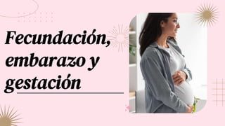Fecundación,
embarazo y
gestación
 