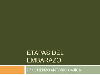ETAPAS DEL EMBARAZO Dr. LORENZO ANTONIO CAJICA 
