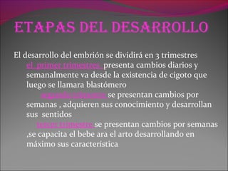 etapas del desarrollo
El desarrollo del embrión se dividirá en 3 trimestres
el primer trimestres presenta cambios diarios y
semanalmente va desde la existencia de cigoto que
luego se llamara blastómero
segundo trimestre se presentan cambios por
semanas , adquieren sus conocimiento y desarrollan
sus sentidos
tercer trimestre se presentan cambios por semanas
,se capacita el bebe ara el arto desarrollando en
máximo sus característica
 