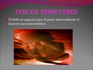 Tercer TrimeSTreS
El bebe se capacita para el parto desarrollando el
máximo sus característica
 