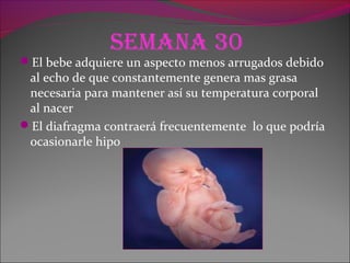 Semana 30
El bebe adquiere un aspecto menos arrugados debido
al echo de que constantemente genera mas grasa
necesaria para mantener así su temperatura corporal
al nacer
El diafragma contraerá frecuentemente lo que podría
ocasionarle hipo
 