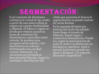 segmentación:
 