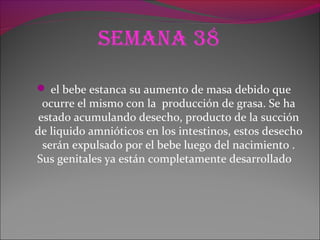 Semana 38
 el bebe estanca su aumento de masa debido que
ocurre el mismo con la producción de grasa. Se ha
estado acumulando desecho, producto de la succión
de liquido amnióticos en los intestinos, estos desecho
serán expulsado por el bebe luego del nacimiento .
Sus genitales ya están completamente desarrollado
 