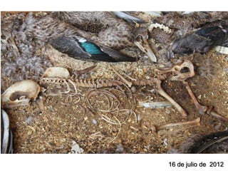 16 de julio de 2012
 