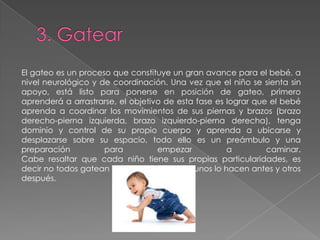 El gateo es un proceso que constituye un gran avance para el bebé, a
nivel neurológico y de coordinación. Una vez que el niño se sienta sin
apoyo, está listo para ponerse en posición de gateo, primero
aprenderá a arrastrarse, el objetivo de esta fase es lograr que el bebé
aprenda a coordinar los movimientos de sus piernas y brazos (brazo
derecho-pierna izquierda, brazo izquierdo-pierna derecha), tenga
dominio y control de su propio cuerpo y aprenda a ubicarse y
desplazarse sobre su espacio, todo ello es un preámbulo y una
preparación para empezar a caminar.
Cabe resaltar que cada niño tiene sus propias particularidades, es
decir no todos gatean a los 7 u 8 meses, algunos lo hacen antes y otros
después.
 
